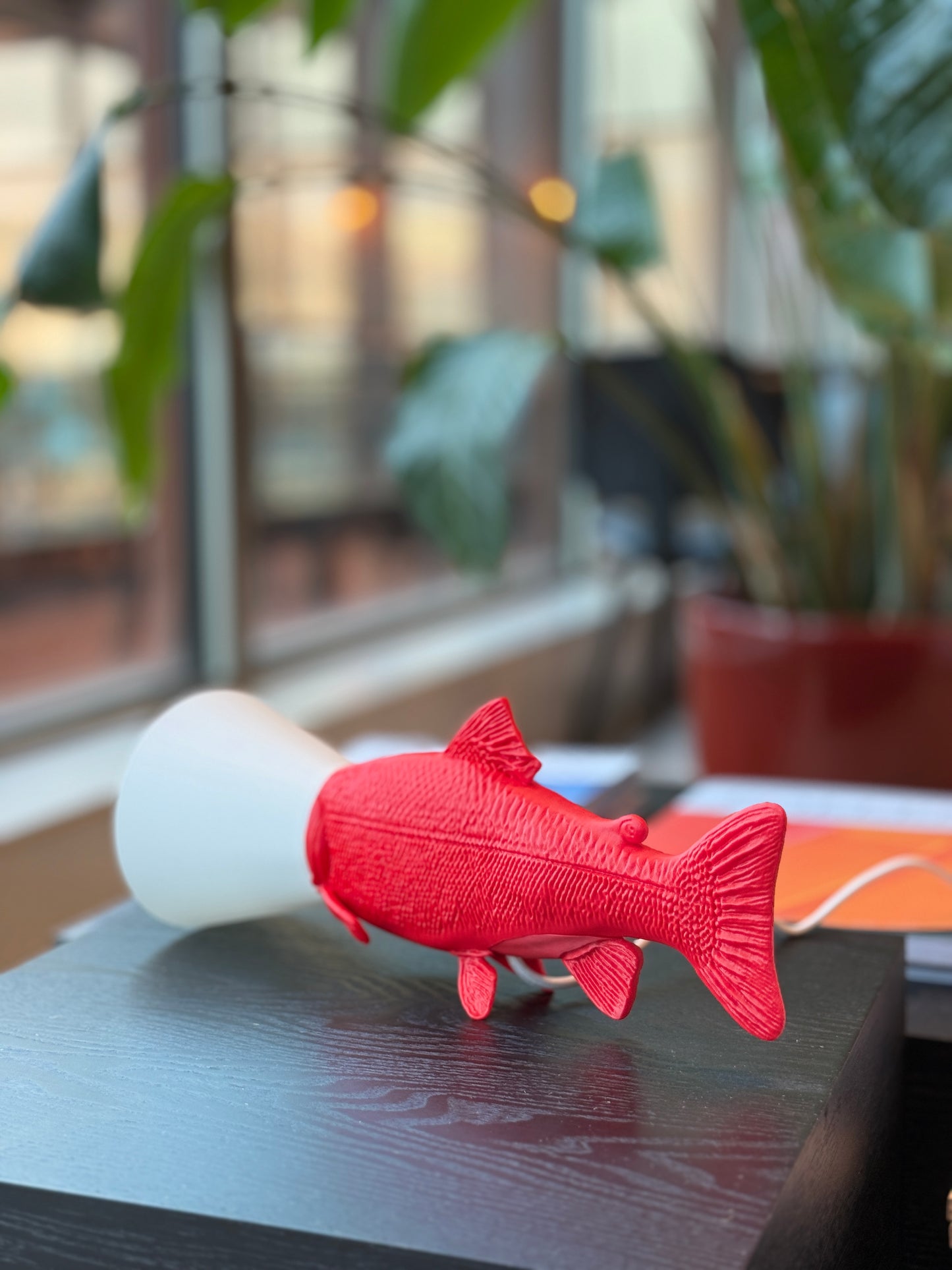 Poisson juste sorti de chez le vétérinaire.