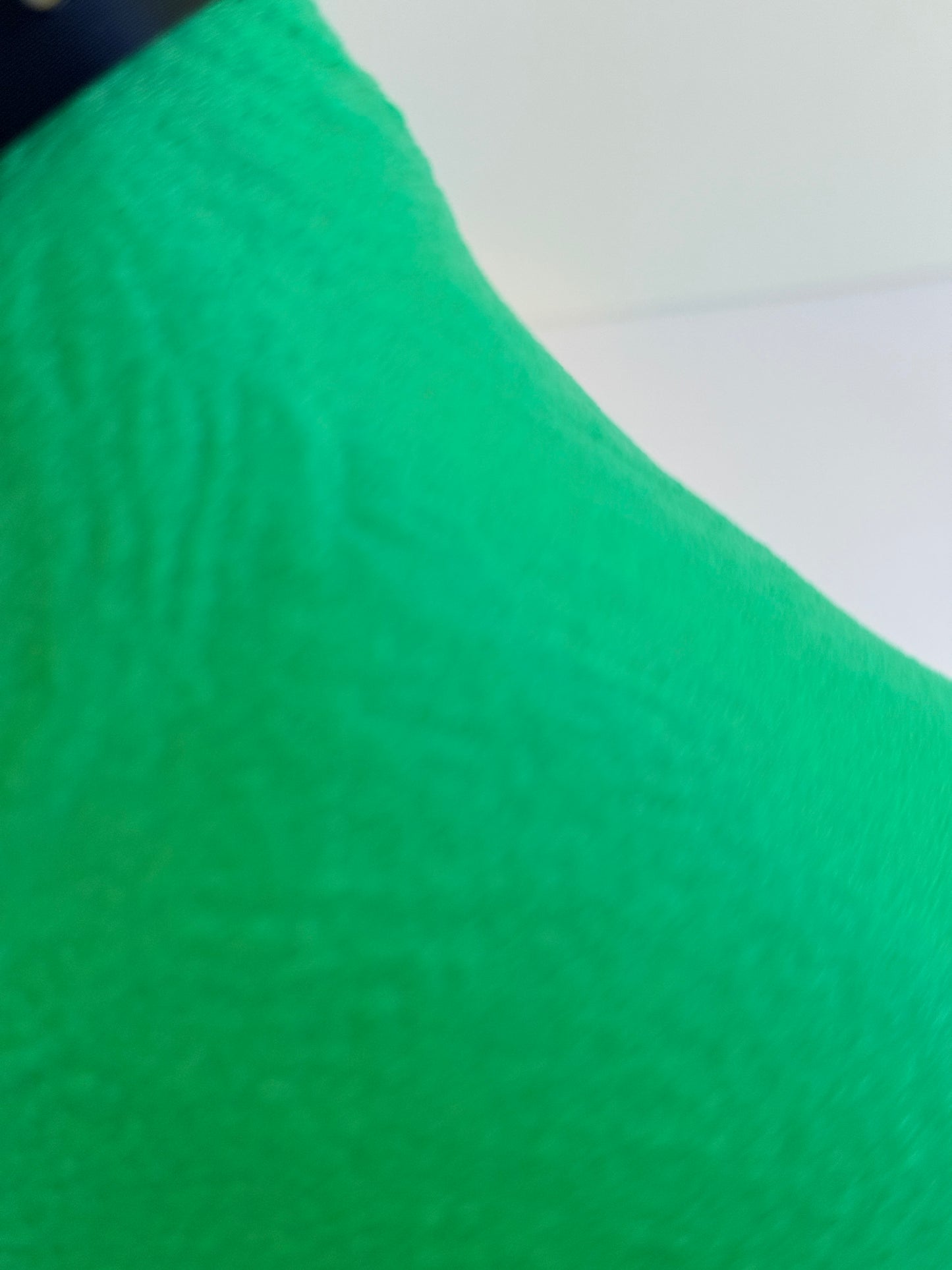 Teckel juste sorti de chez le vétérinaire.