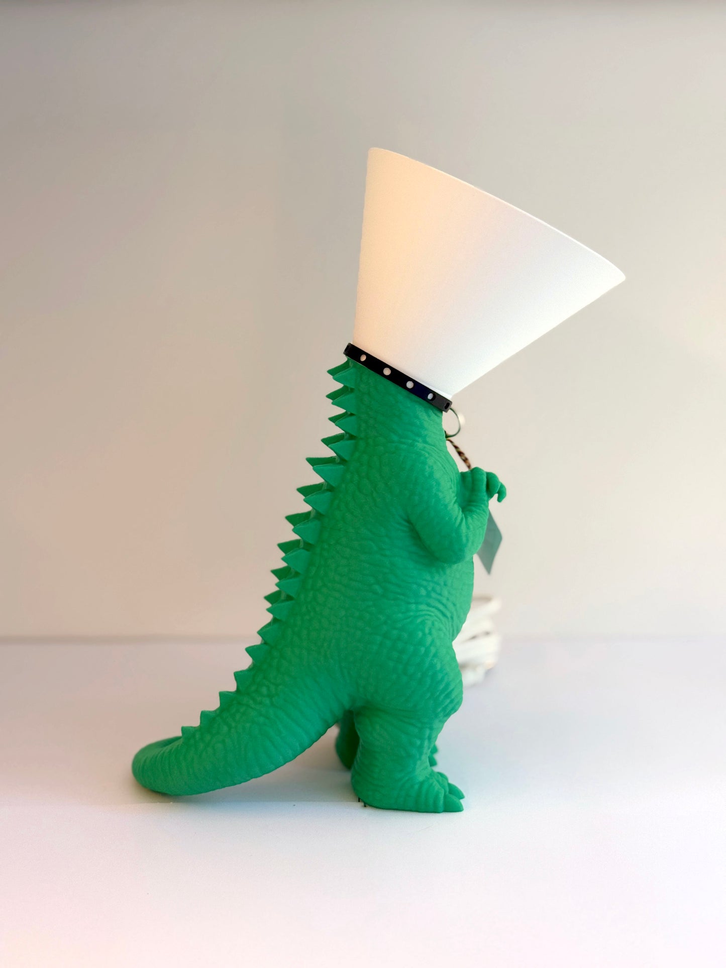 Dinosaure juste sorti de chez le vétérinaire.