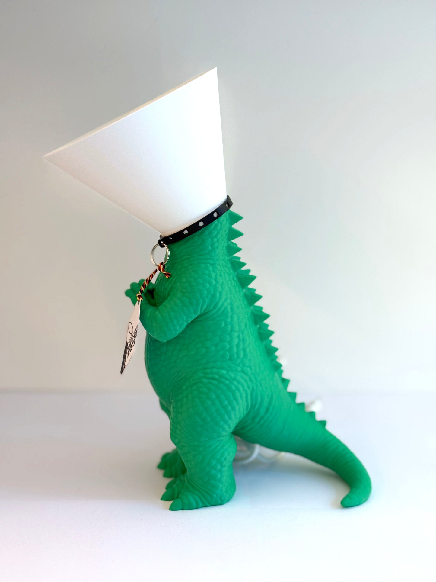 Dinosaure juste sorti de chez le vétérinaire.