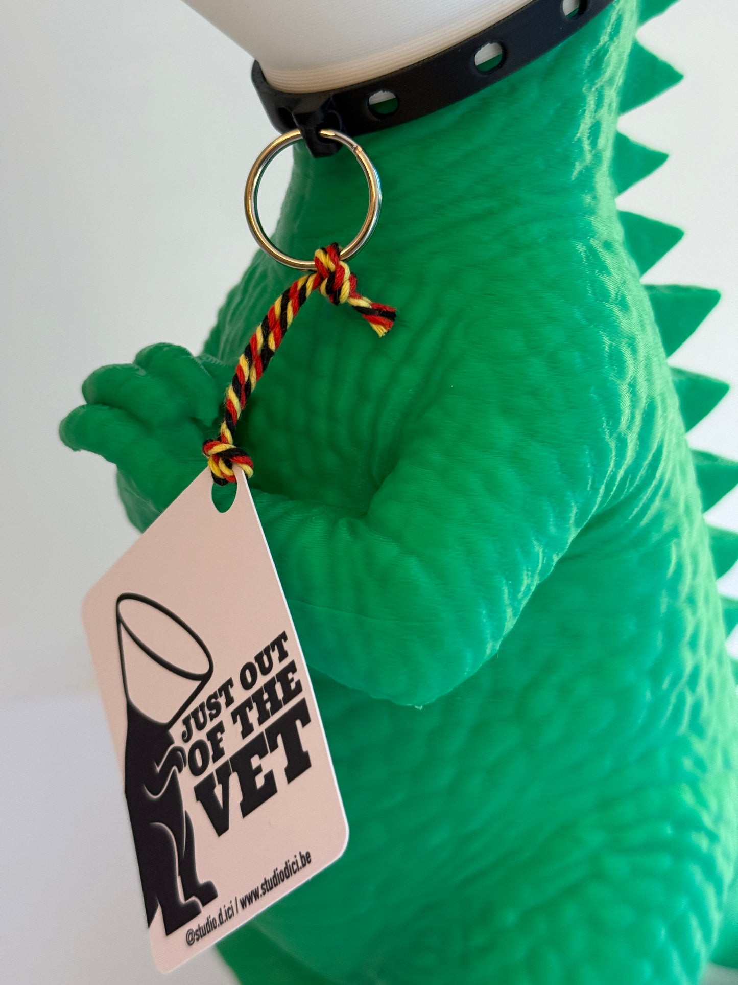 Dinosaure juste sorti de chez le vétérinaire.