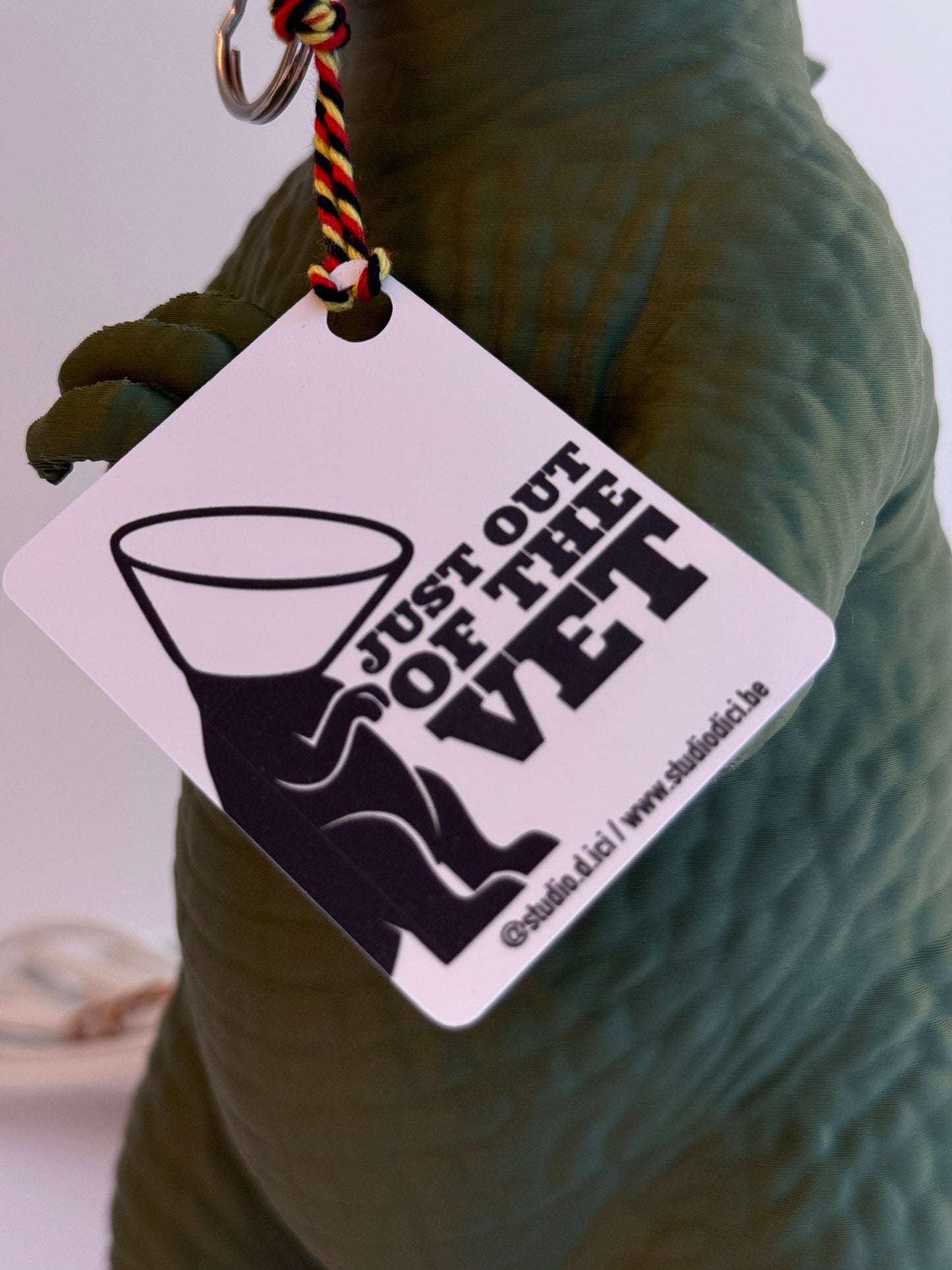 Dinosaure juste sorti de chez le vétérinaire.