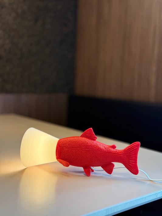 Poisson juste sorti de chez le vétérinaire.