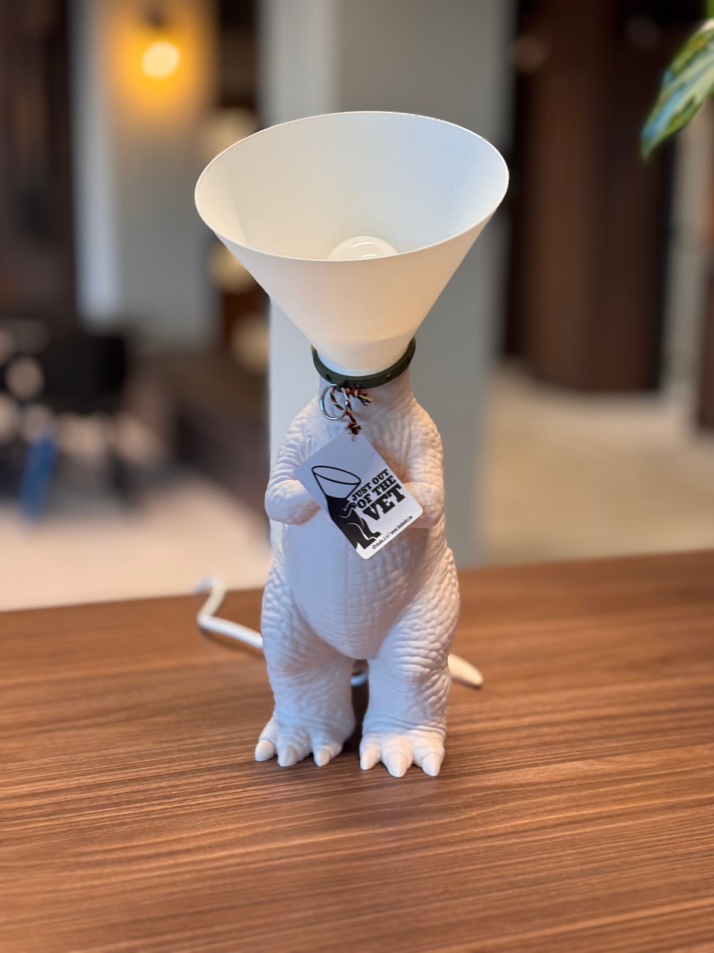 Dinosaure juste sorti de chez le vétérinaire.