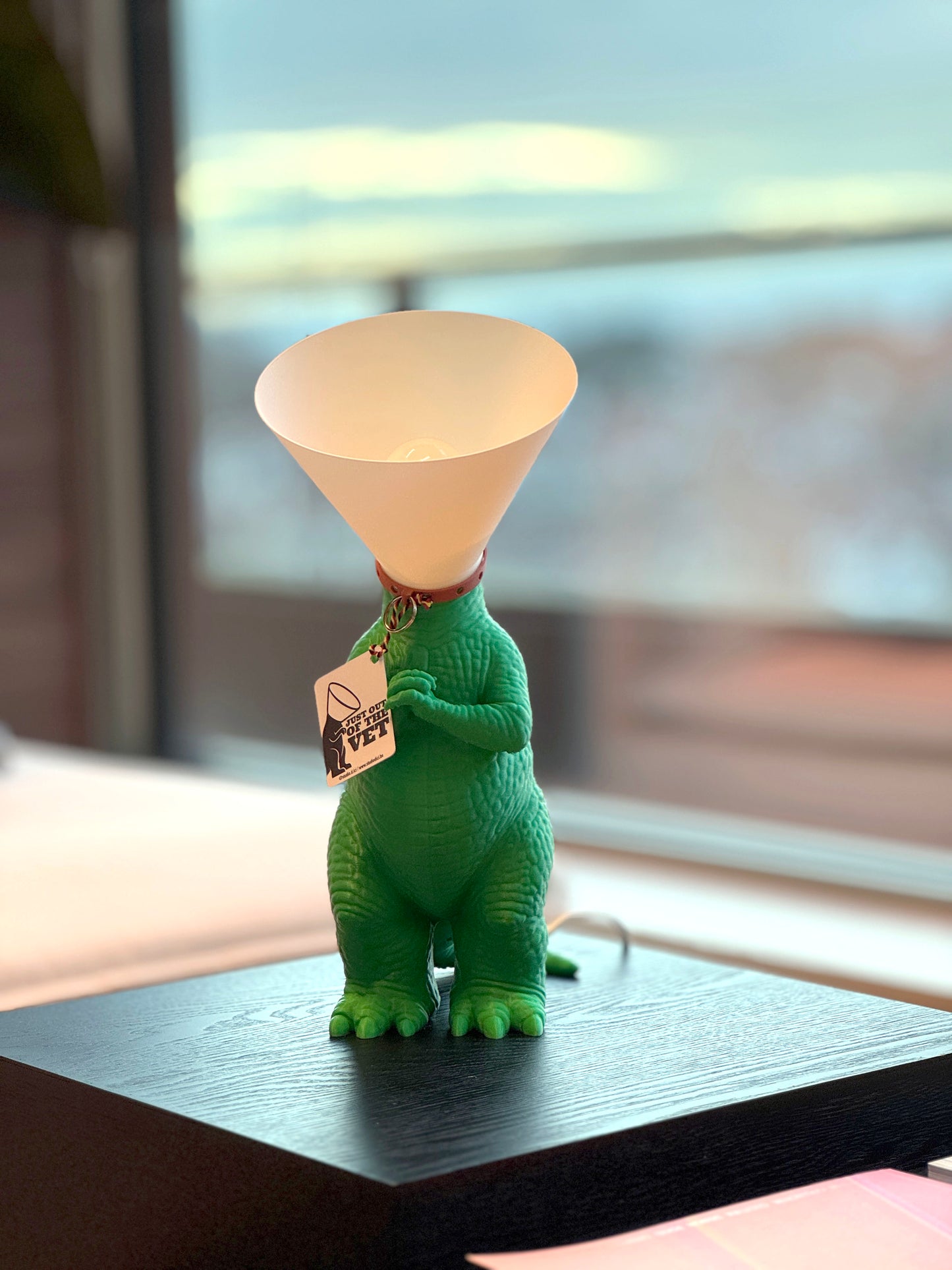 Dinosaure juste sorti de chez le vétérinaire.