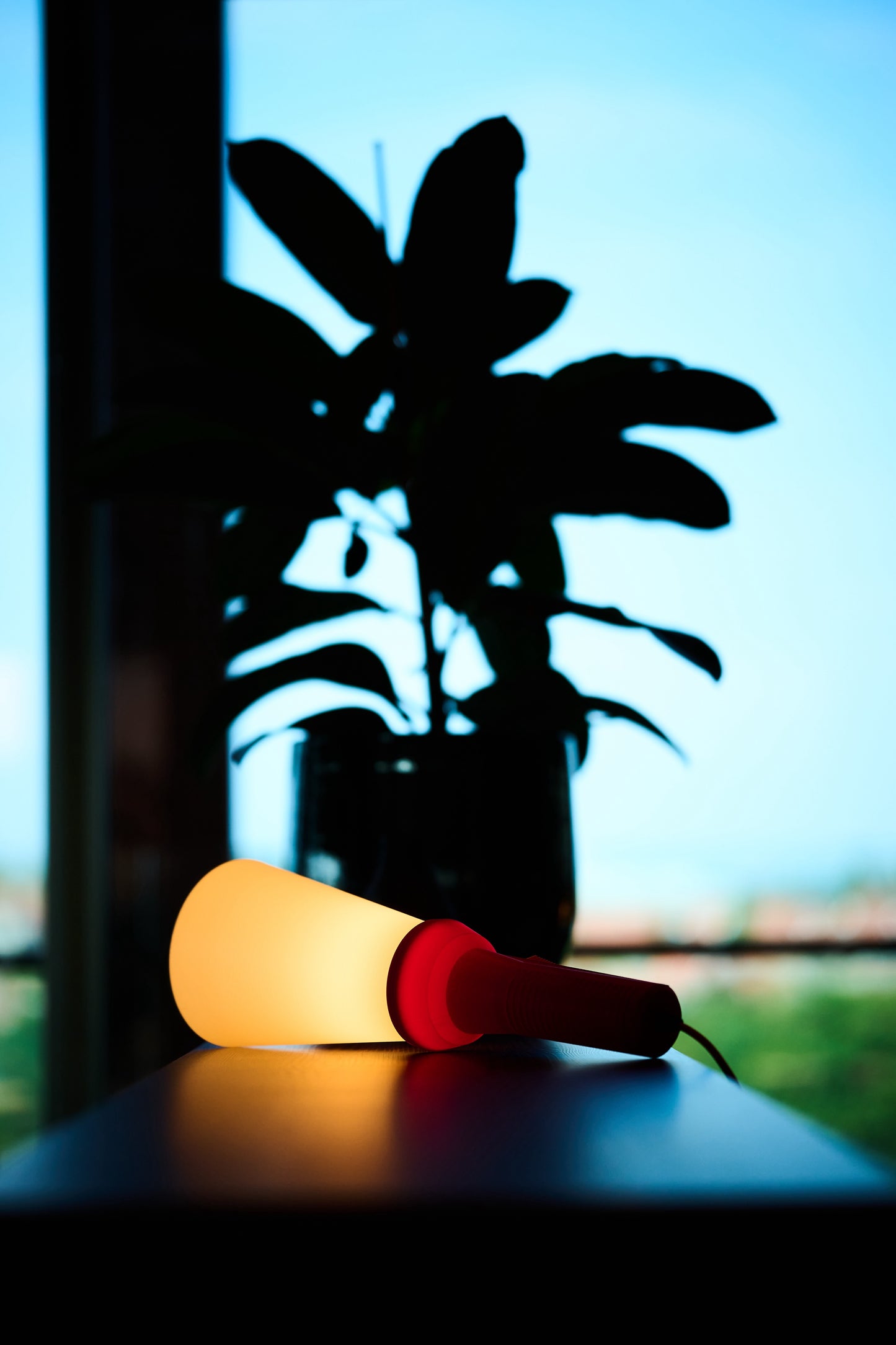 torch01 rouge